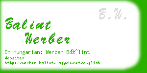 balint werber business card
